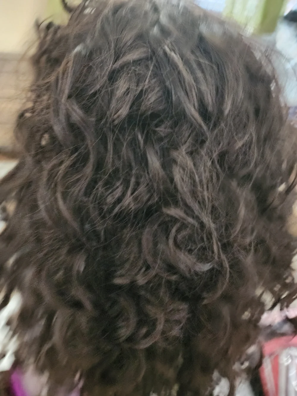 Long Dark Brown Curly Women's Wig with Natural Bounce